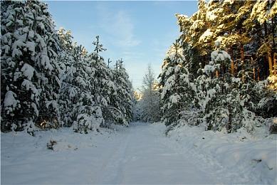 高能电玩节：《黄泉之路》5月5日正式发售
